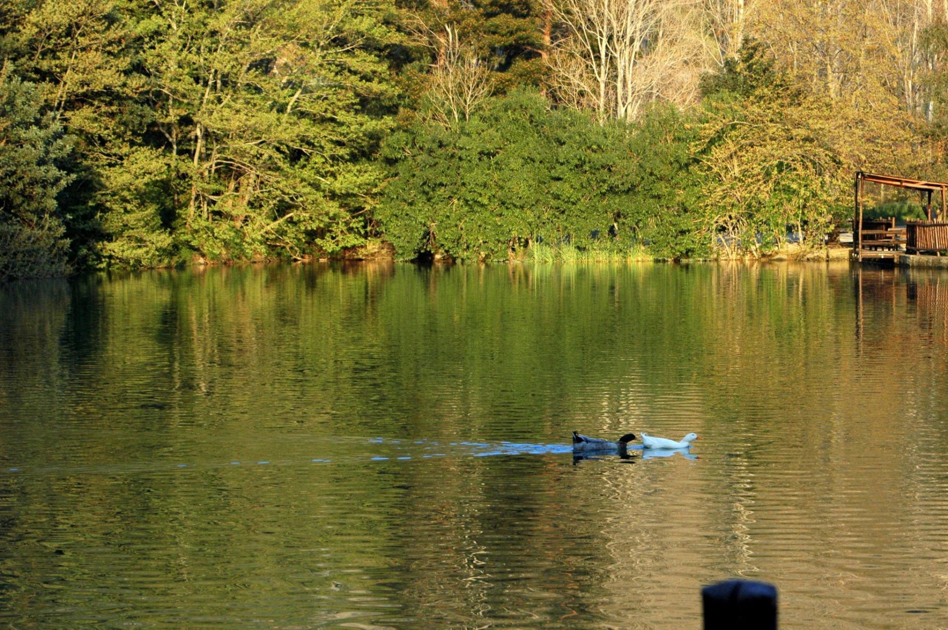 Zaros lake