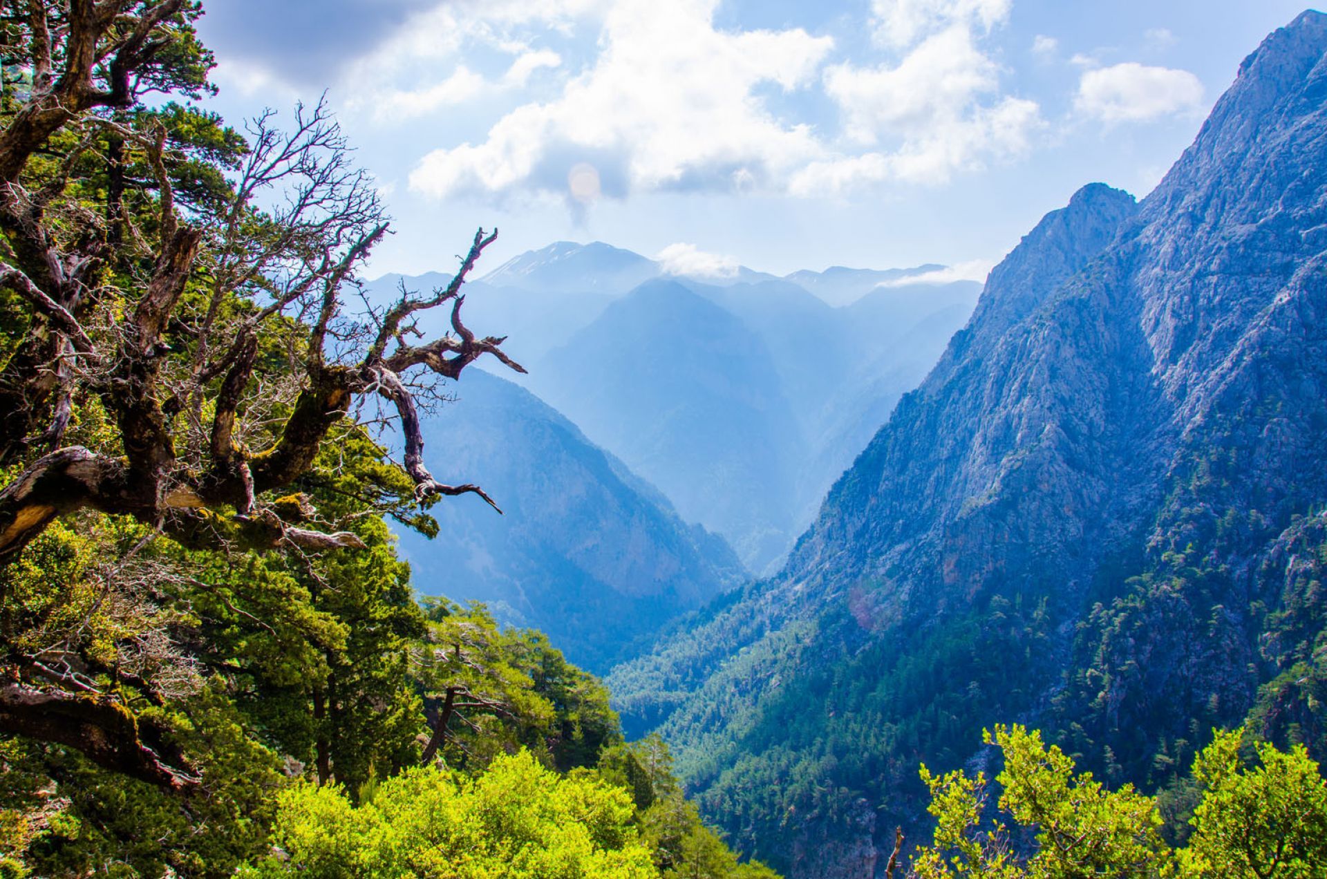 Samaria Canyon